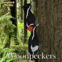 Songbird ReMix Woodpeckers