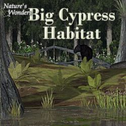 Nature's Wonders Big Cypress Habitat