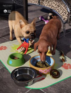 Daz Dog 8 Accessories