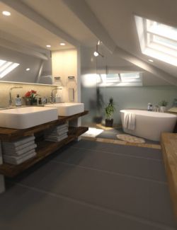 Attic Bathroom
