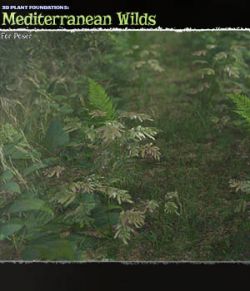 Plant Foundations: Mediterranean Wilds for Poser