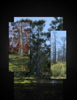 UltraScenery - Swamp