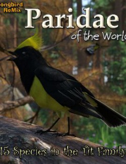 Songbird ReMix Paridae of the World