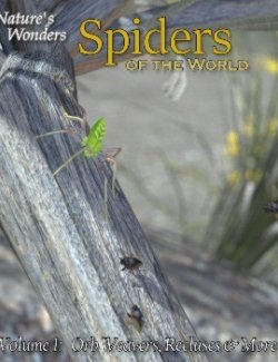 Nature's Wonders Spiders of the World Vol. 1