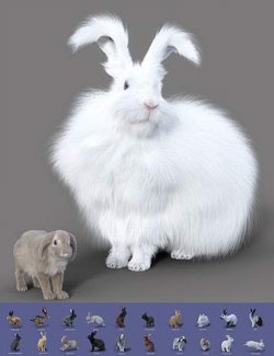 Rabbits by AM - Collection 2