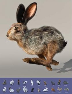 Rabbits by AM - Collection 3