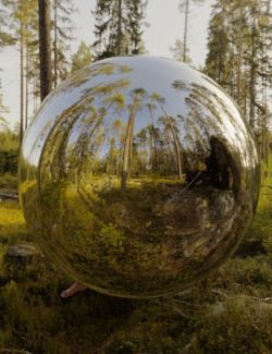 Mossy Spring 16K HDRIs