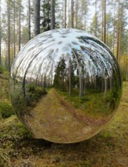 The Forest Awakens: 16K HDRIs
