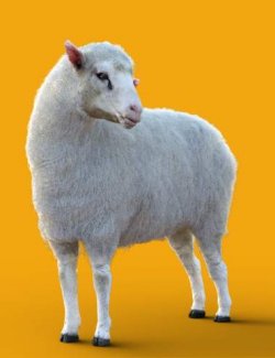 DA Sheep for Daz Horse 3