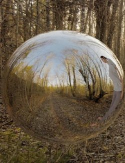 Early Spring Paths: 16K HDRIs