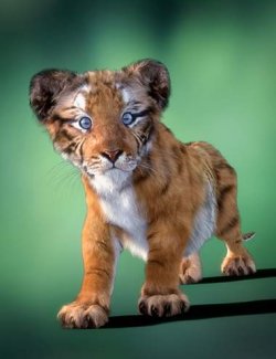 Felidae by AM - Rajah the Tiger Cub