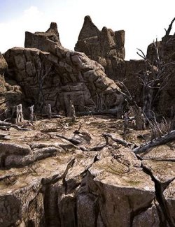 XI African Wildlands Graveyard