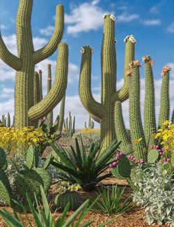 Predatron Desert Plants Bundle