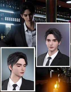 Noki Caelun HD & Noki Zephyr Flow Hair for Genesis 9