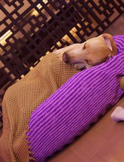 FF's A Dog's Life of Leisure for Daz Dog 8