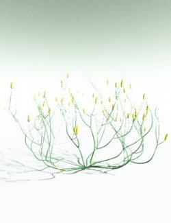EVERYPlant Aglaophyton Majus for Poser