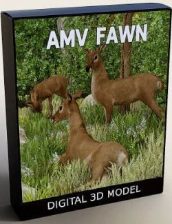 AMV_Fawn Rigged Deer