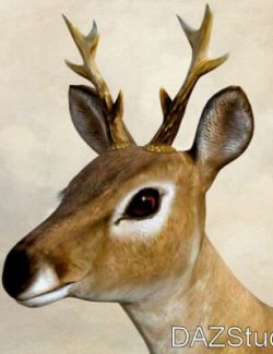 Buck Antlers for AMV_Fawn