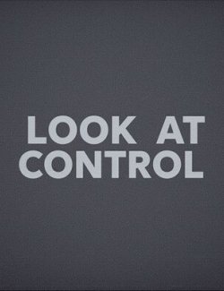 Look at Control &ndash; Advanced Gaze and Pose Control