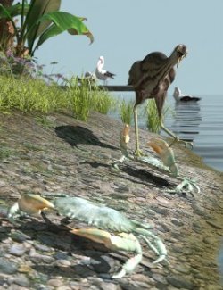 Nature's Wonders Crabs of the World v1