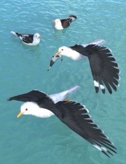 Songbird ReMix Sea Birds 4