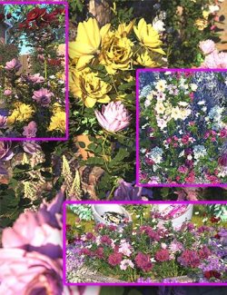 Rose Garden - Rose Bushes