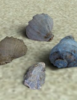 E3D Seashells