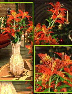 Christmas Bouquets and Vases