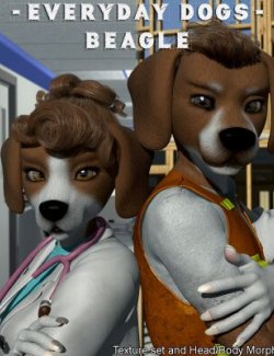 EveryDay Dogs - Beagle for Melody & Micah