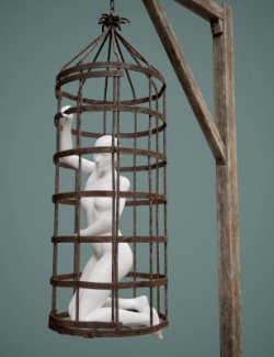 Gibbet Cage G8 Male-Female