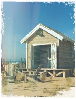 Coastal Cabin 1