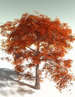 EVERYPlant Cotton Tree for Poser