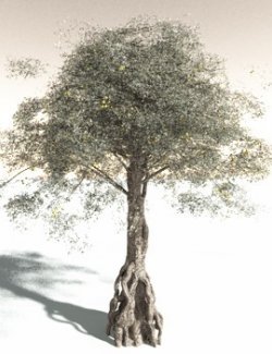 EVERYPlant Weeping Fig for Daz
