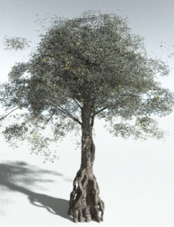 EVERYPlant Weeping Fig for Vue