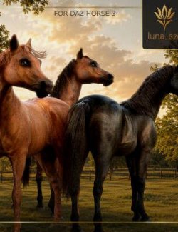 Polish Horses: Malopolski For DH3