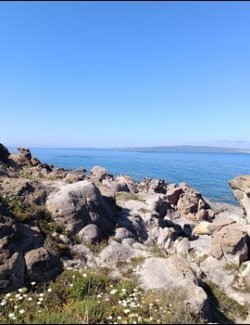 Sun, sea and flowers