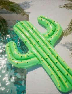 Cactus Pool Float