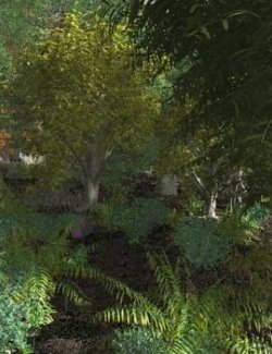 EVERYPlant SE Asian Jungle Biome for Poser