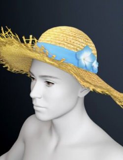Straw Hat for Genesis 9 by KainjyMS